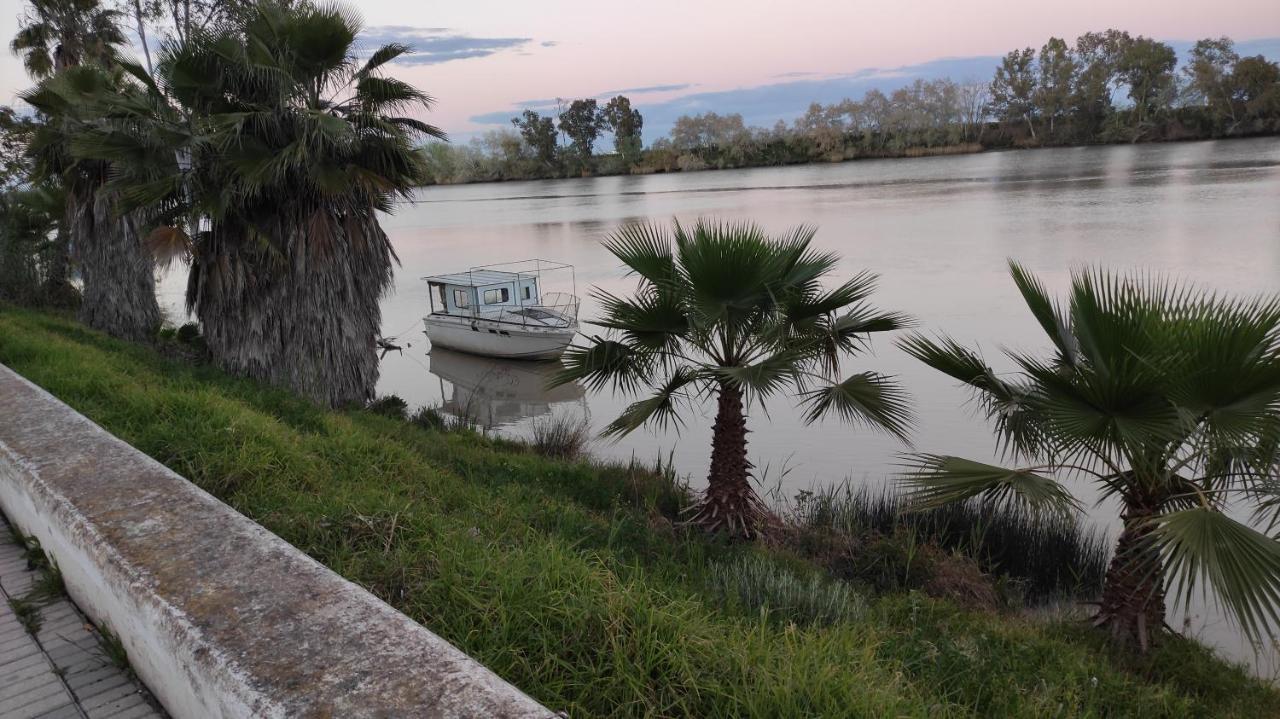 Habitacion Doble Con Aseo Compartido Coria del Río Exteriér fotografie